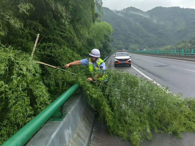 05 臺(tái)風(fēng)格美登陸在即，7月26日 六安西中心管控部巡路員柴夢(mèng)麒清理侵占路面的毛竹(1).png